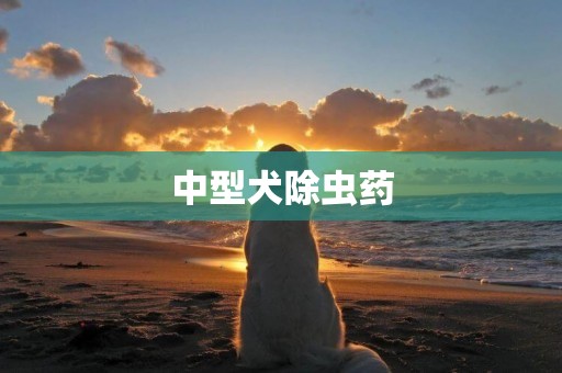 中型犬除蟲藥