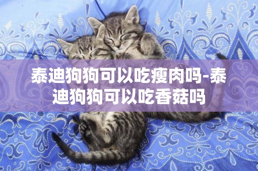 泰迪狗狗可以吃瘦肉嗎-泰迪狗狗可以吃香菇嗎