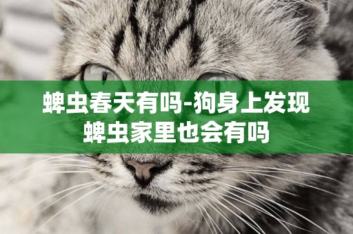蜱蟲春天有嗎-狗身上發現蜱蟲家里也會有嗎