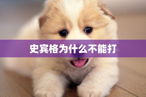 史賓格為什么不能打