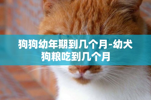 狗狗幼年期到幾個月-幼犬狗糧吃到幾個月