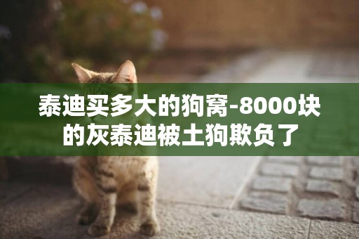 泰迪買多大的狗窩-8000塊的灰泰迪被土狗欺負了