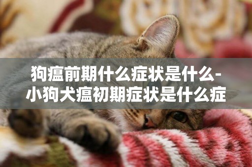 狗瘟前期什么癥狀是什么-小狗犬瘟初期癥狀是什么癥狀
