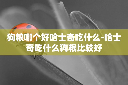 狗糧哪個好哈士奇吃什么-哈士奇吃什么狗糧比較好