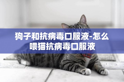 狗子和抗病毒口服液-怎么喂貓抗病毒口服液
