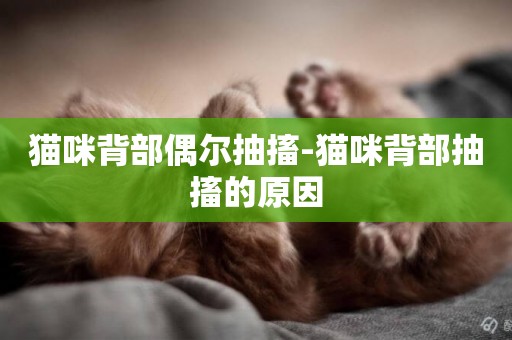 貓咪背部偶爾抽搐-貓咪背部抽搐的原因