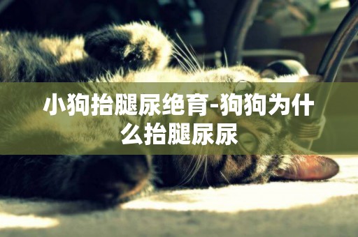 小狗抬腿尿絕育-狗狗為什么抬腿尿尿