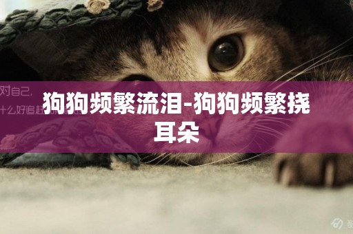 狗狗頻繁流淚-狗狗頻繁撓耳朵