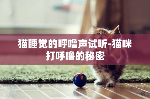 貓睡覺的呼嚕聲試聽-貓咪打呼嚕的秘密