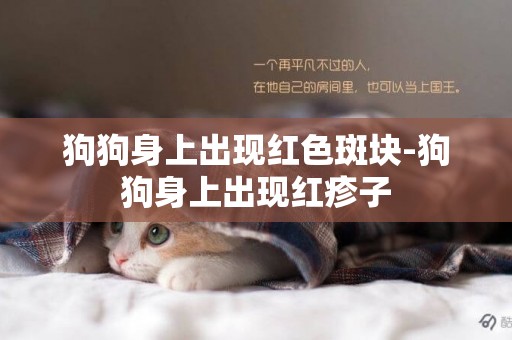 狗狗身上出現紅色斑塊-狗狗身上出現紅疹子