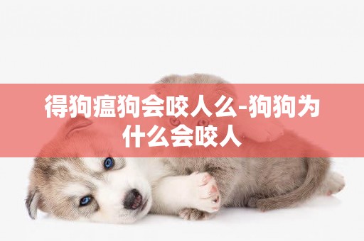 得狗瘟狗會咬人么-狗狗為什么會咬人