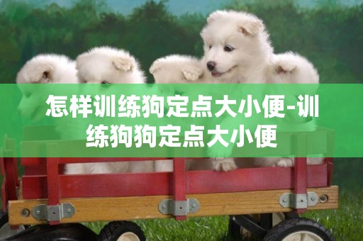 怎樣訓練狗定點大小便-訓練狗狗定點大小便