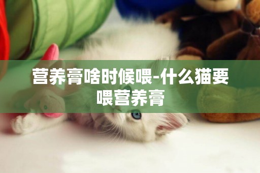 營養膏啥時候喂-什么貓要喂營養膏