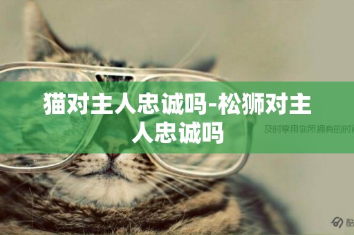 貓對主人忠誠嗎-松獅對主人忠誠嗎
