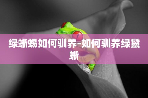 綠蜥蜴如何馴養-如何馴養綠鬣蜥