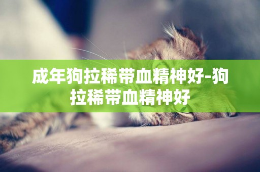 成年狗拉稀帶血精神好-狗拉稀帶血精神好