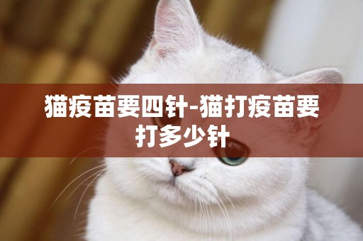 貓疫苗要四針-貓打疫苗要打多少針