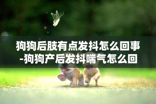 狗狗后肢有點發抖怎么回事-狗狗產后發抖喘氣怎么回事