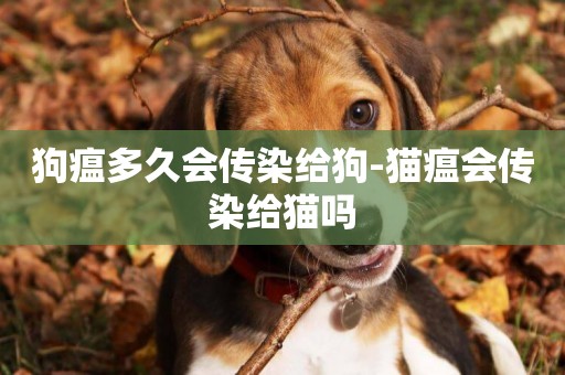 狗瘟多久會傳染給狗-貓瘟會傳染給貓嗎