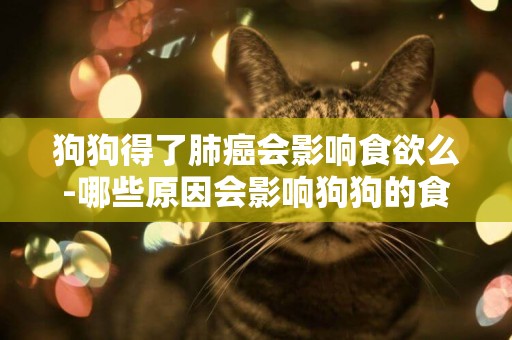 狗狗得了肺癌會影響食欲么-哪些原因會影響狗狗的食欲