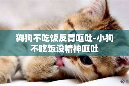 狗狗不吃飯反胃嘔吐-小狗不吃飯沒精神嘔吐