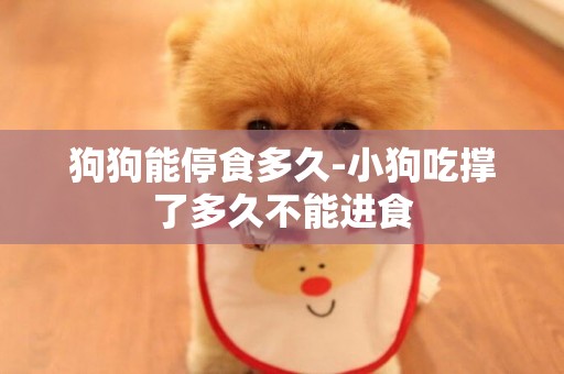 狗狗能停食多久-小狗吃撐了多久不能進食