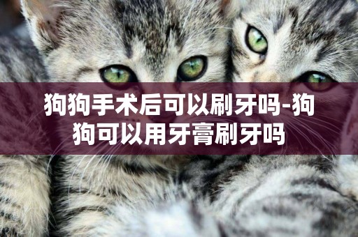 狗狗手術后可以刷牙嗎-狗狗可以用牙膏刷牙嗎