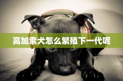 高加索犬怎么繁殖下一代呢