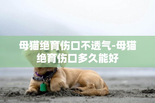 母貓絕育傷口不透氣-母貓絕育傷口多久能好