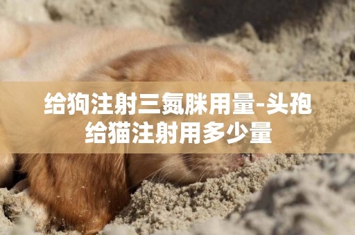 給狗注射三氮脒用量-頭孢給貓注射用多少量
