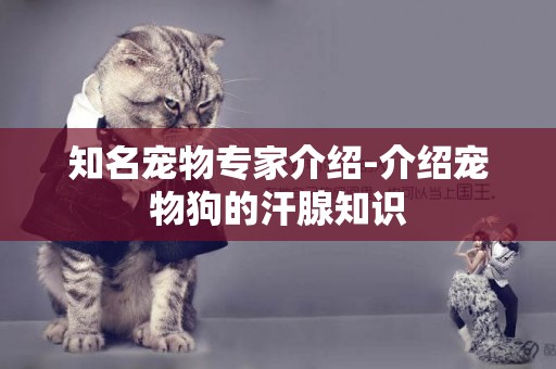 知名寵物專家介紹-介紹寵物狗的汗腺知識