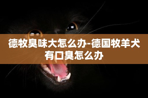 德牧臭味大怎么辦-德國牧羊犬有口臭怎么辦