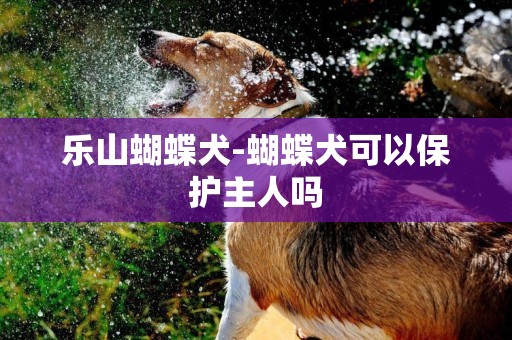 樂山蝴蝶犬-蝴蝶犬可以保護主人嗎