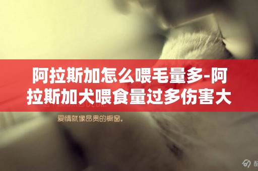 阿拉斯加怎么喂毛量多-阿拉斯加犬喂食量過多傷害大