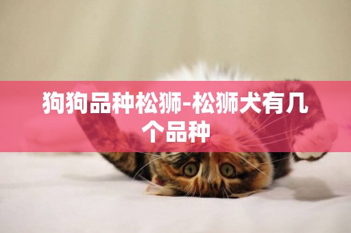 狗狗品種松獅-松獅犬有幾個品種