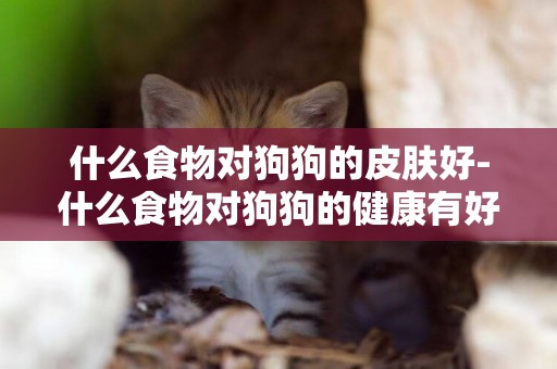 什么食物對狗狗的皮膚好-什么食物對狗狗的健康有好處