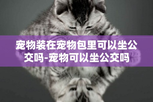 寵物裝在寵物包里可以坐公交嗎-寵物可以坐公交嗎