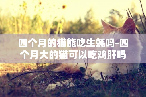 四個月的貓能吃生蠔嗎-四個月大的貓可以吃雞肝嗎