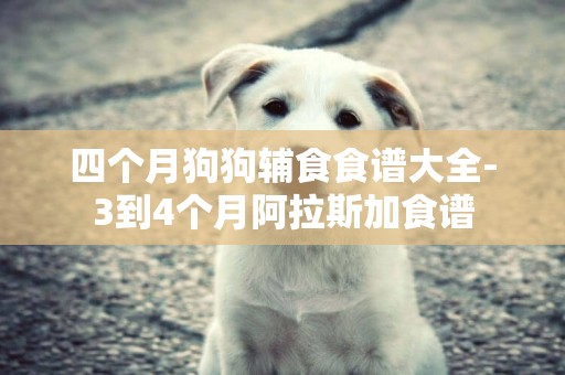四個月狗狗輔食食譜大全-3到4個月阿拉斯加食譜