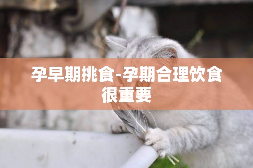 孕早期挑食-孕期合理飲食很重要
