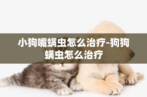 小狗嘴螨蟲怎么治療-狗狗螨蟲怎么治療