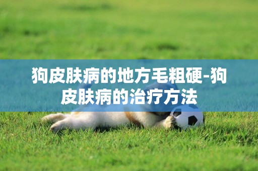 狗皮膚病的地方毛粗硬-狗皮膚病的治療方法