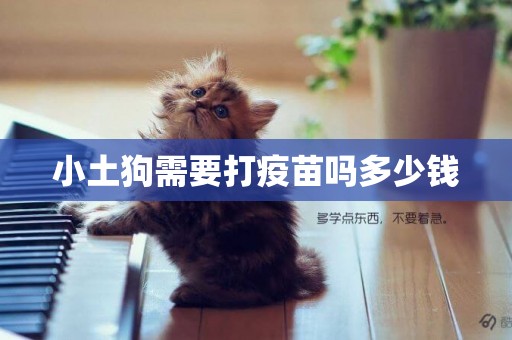 小土狗需要打疫苗嗎多少錢
