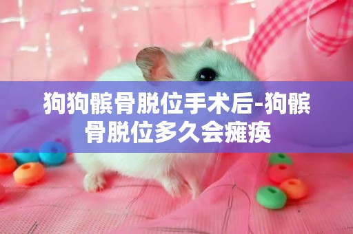 狗狗髕骨脫位手術后-狗髕骨脫位多久會癱瘓