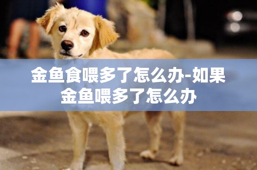 金魚食喂多了怎么辦-如果金魚喂多了怎么辦