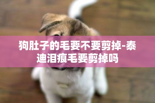 狗肚子的毛要不要剪掉-泰迪淚痕毛要剪掉嗎