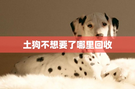 土狗不想要了哪里回收