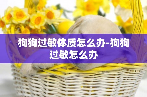 狗狗過敏體質怎么辦-狗狗過敏怎么辦