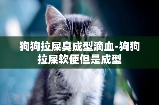 狗狗拉屎臭成型滴血-狗狗拉屎軟便但是成型