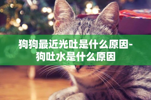 狗狗最近光吐是什么原因-狗吐水是什么原因